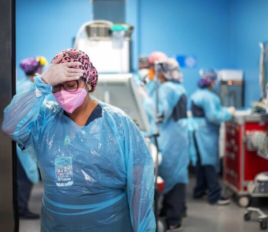 Imagen: Referencial.