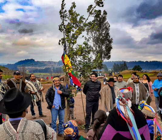 Fotografía de Angolinos.cl