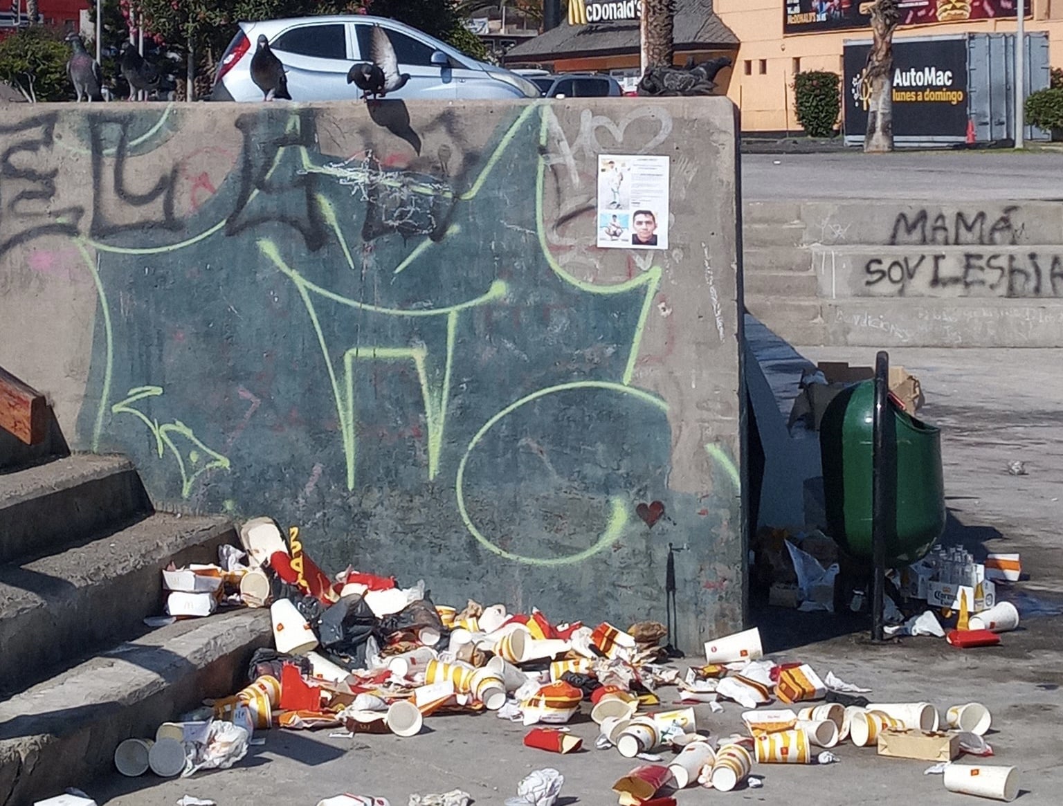 Denuncian microbasural en el sector de McDonald's Antofagasta - El ...
