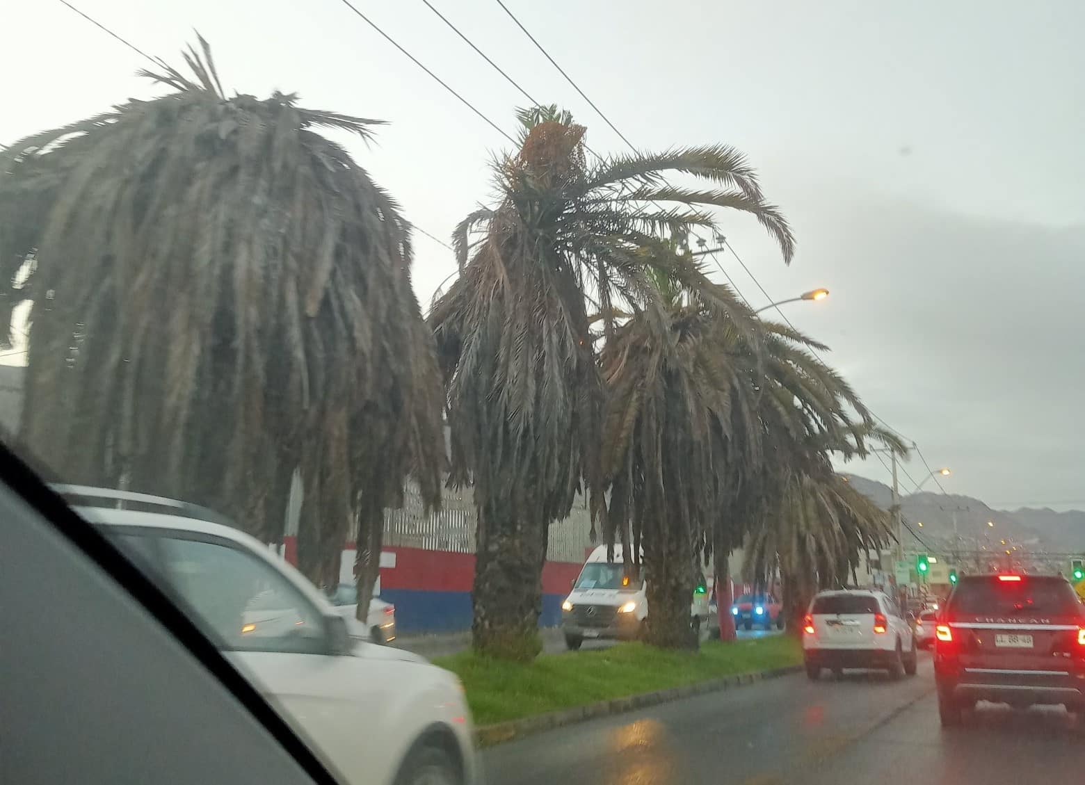 "Siempre puede ser peor": Denuncian mal estado de áreas verdes en el ...