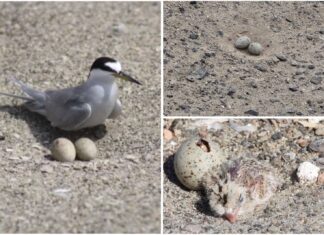 WhatsApp Image 2025 07 18 at 17.20.29