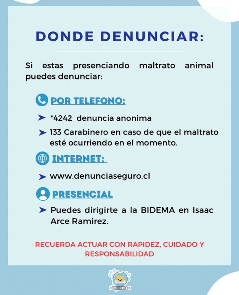 Imagen de WhatsApp 2025 08 26 a las 10.42.35 f29f00fc