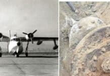 Grumman albatross