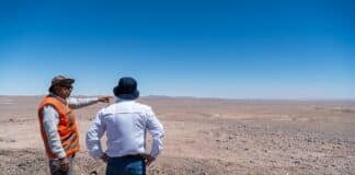 20251021 Cachorros 09