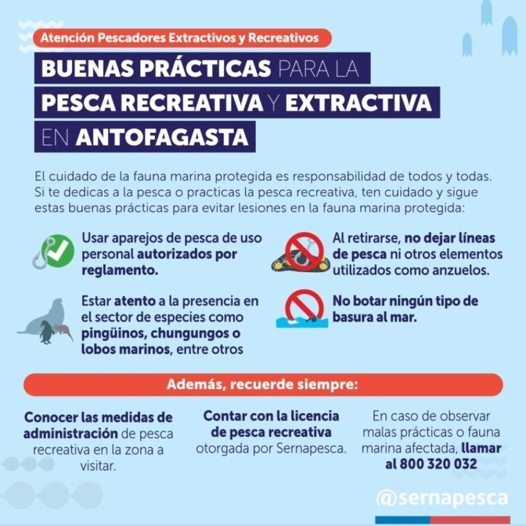 Imagen de WhatsApp 2025 10 10 a las 23.16.29 577d3255