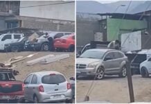 Imagen de WhatsApp 2025 10 19 a las 17.38.45 02fb9620