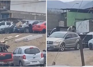 Imagen de WhatsApp 2025 10 19 a las 17.38.45 02fb9620
