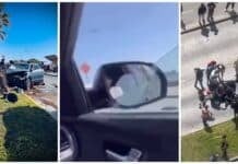 Accidente de coche con palmera involucrada en Antofagasta