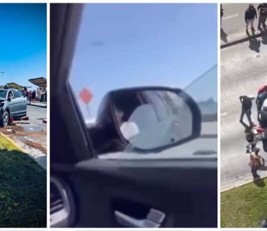 Accidente de coche con palmera involucrada en Antofagasta