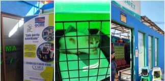 Imagen de WhatsApp 2025 11 08 a las 12.37.38 d14a77a9