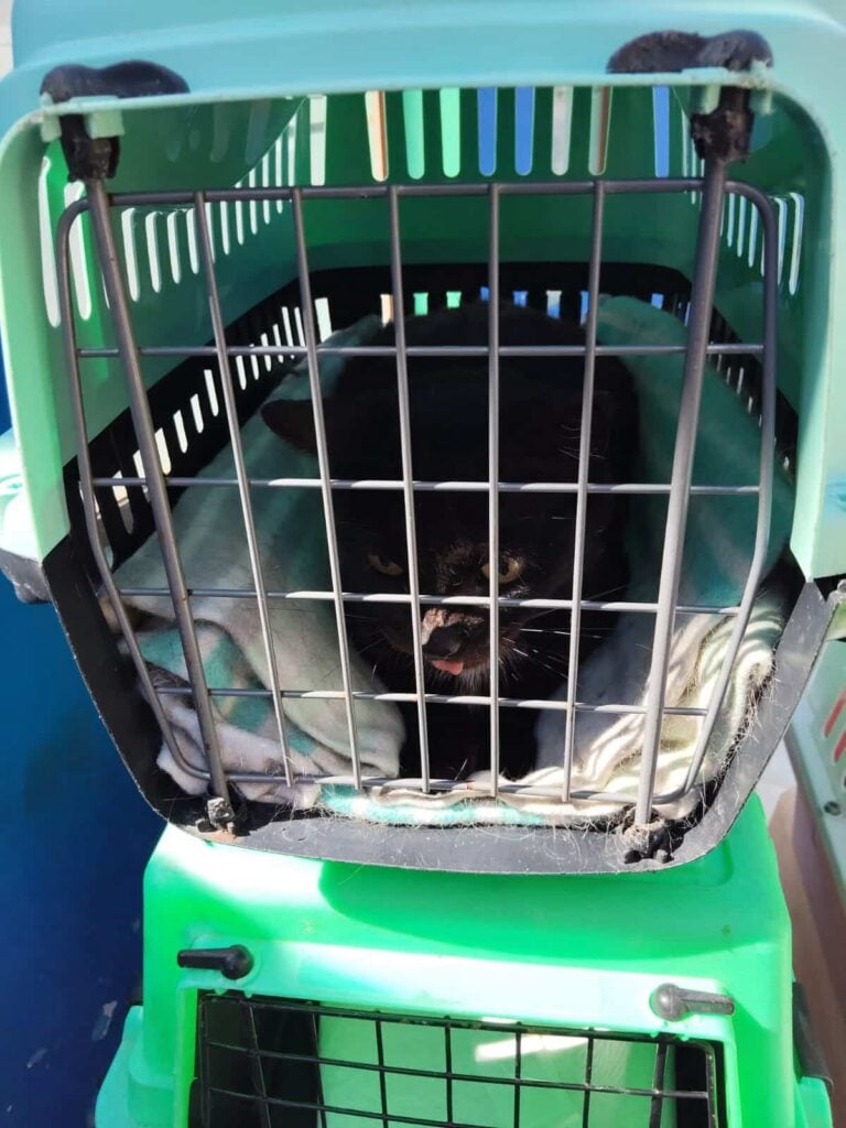 Imagen de WhatsApp 2025 11 08 a las 13.47.07 3a9896fc