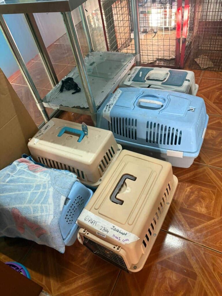 Imagen de WhatsApp 2025 11 08 a las 13.47.07 c3f47186