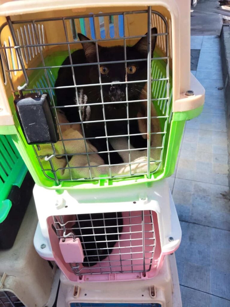 Imagen de WhatsApp 2025 11 08 a las 13.47.08 76599d2d