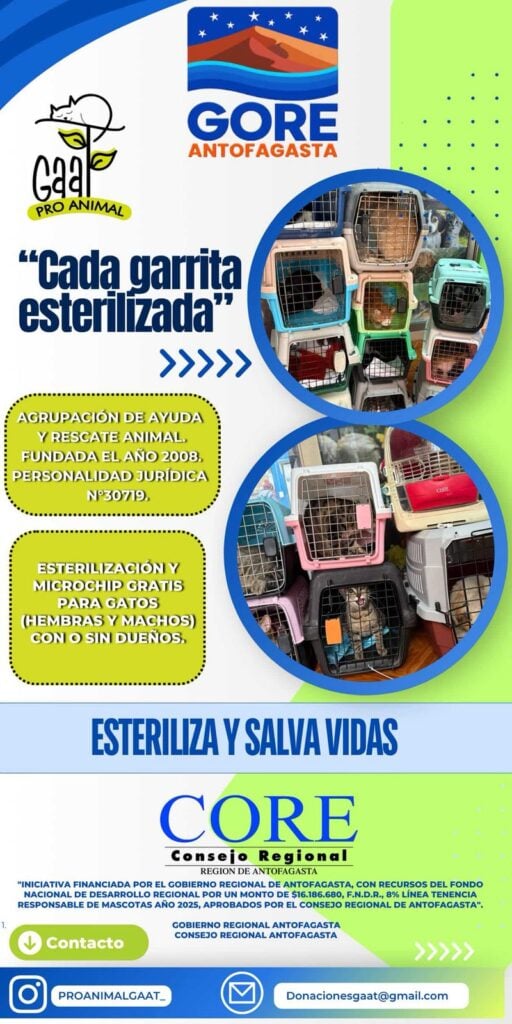 Imagen de WhatsApp 2025 11 08 a las 13.47.08 a4c06c1f