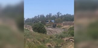 Imagen de WhatsApp 2025 11 15 a las 16.13.41 91757d54