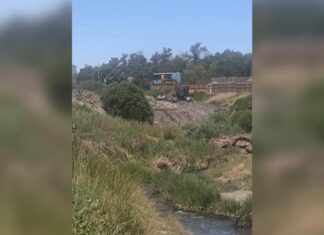 Imagen de WhatsApp 2025 11 15 a las 16.13.41 91757d54