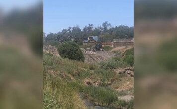 Imagen de WhatsApp 2025 11 15 a las 16.13.41 91757d54