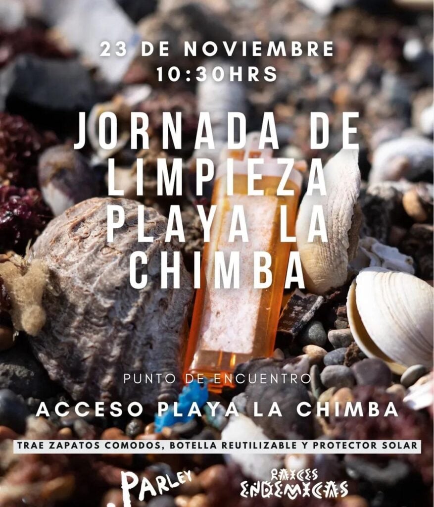 Imagen de WhatsApp 2025 11 22 a las 16.11.32 737943b3