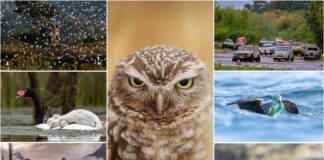 Imagen de WhatsApp 2025 11 24 a las 11.41.48 64da09b8