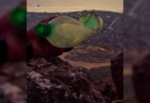 Imagen de WhatsApp 2025 11 26 a las 12.34.36 ee7141e9