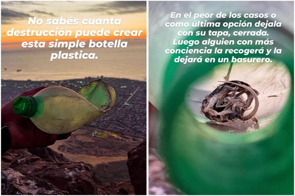 Imagen de WhatsApp 2025 11 26 a las 12.34.37 ef527f17