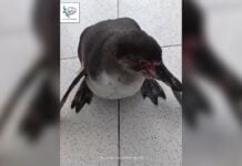 Imagen de WhatsApp 2025 11 29 a las 16.08.42 86e0a73f