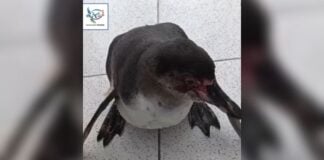 Imagen de WhatsApp 2025 11 29 a las 16.08.42 86e0a73f