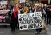 Marcha animalista 620x413 1