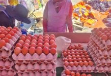 WhatsApp Image 2025 11 06 at 14.05.11