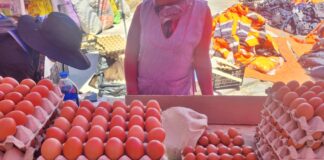 WhatsApp Image 2025 11 06 at 14.05.11