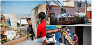 WhatsApp Image 2025 11 08 at 11.55.11