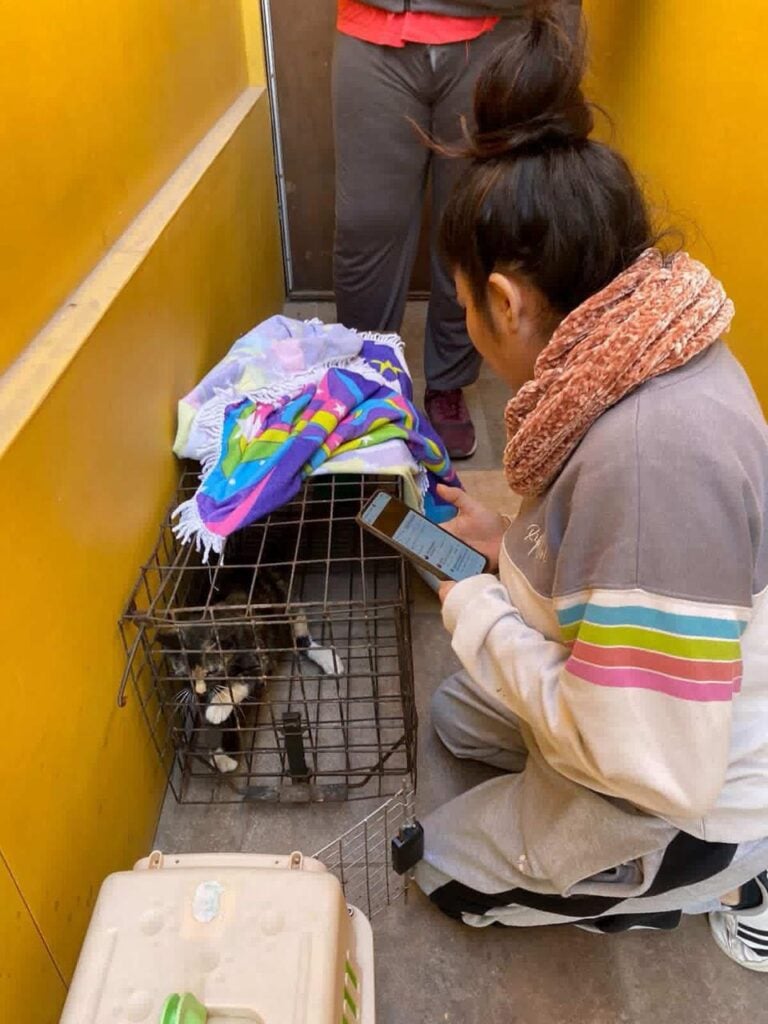 WhatsApp Image 2025 11 20 at 09.07.46 2