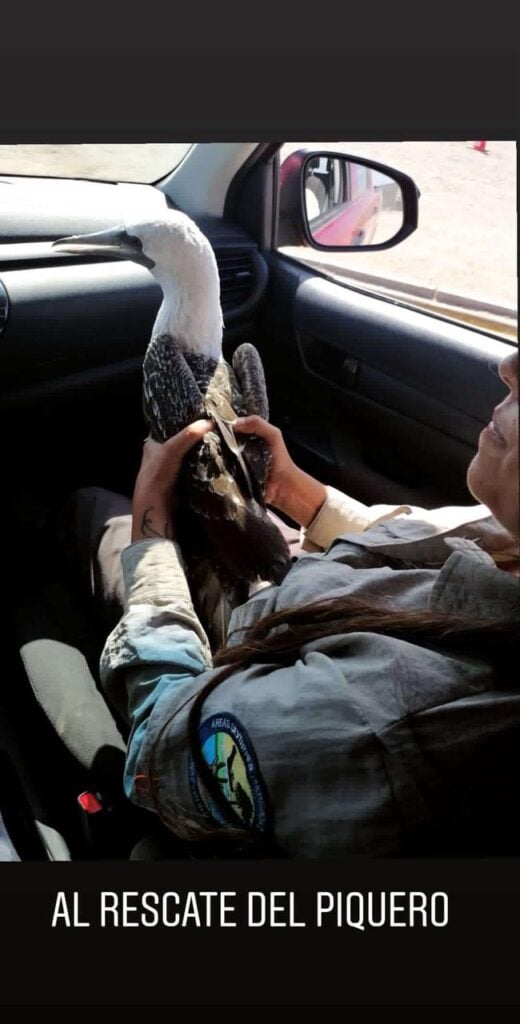 WhatsApp Image 2025 11 20 at 09.07.46 3