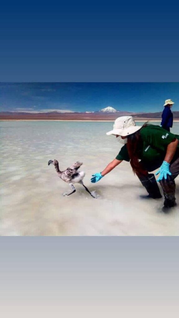 WhatsApp Image 2025 11 20 at 09.07.46