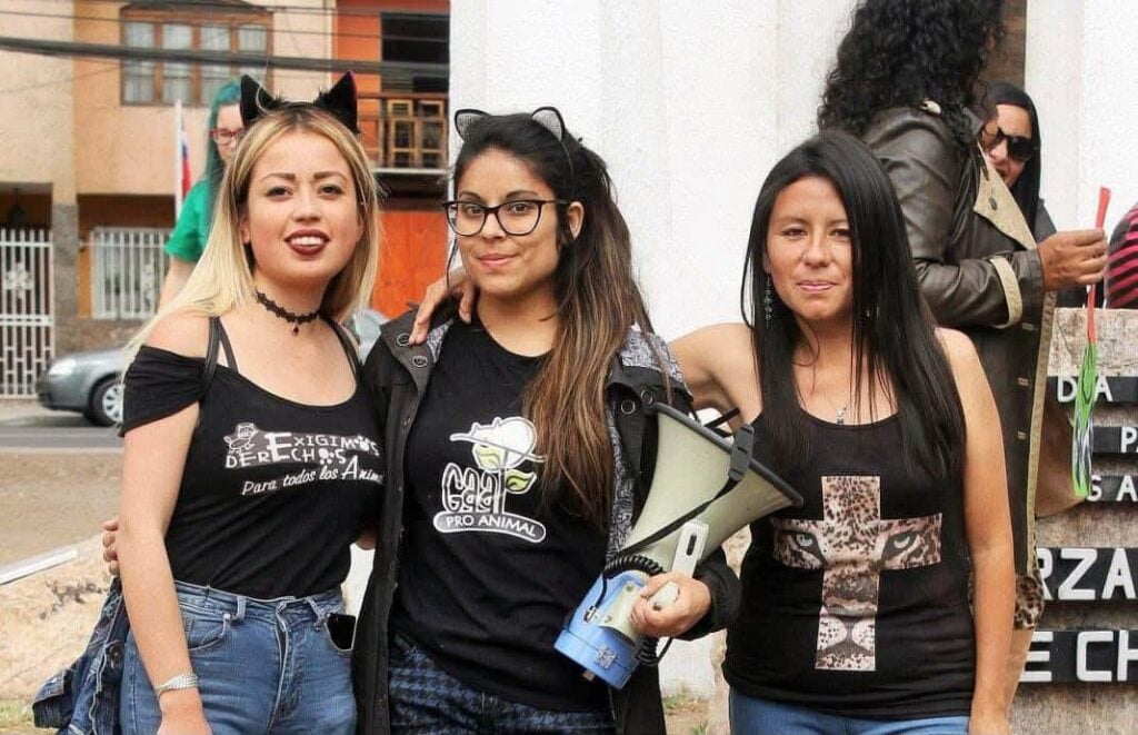 WhatsApp Image 2025 11 20 at 09.07.47 2