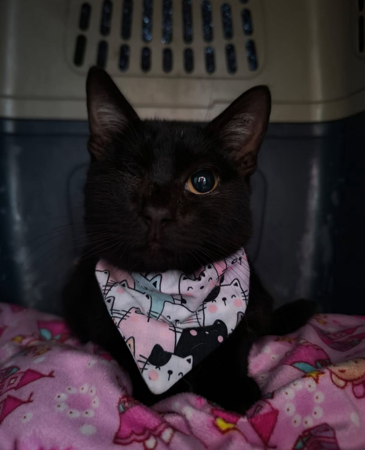 WhatsApp Image 2025 11 20 at 09.24.18 1