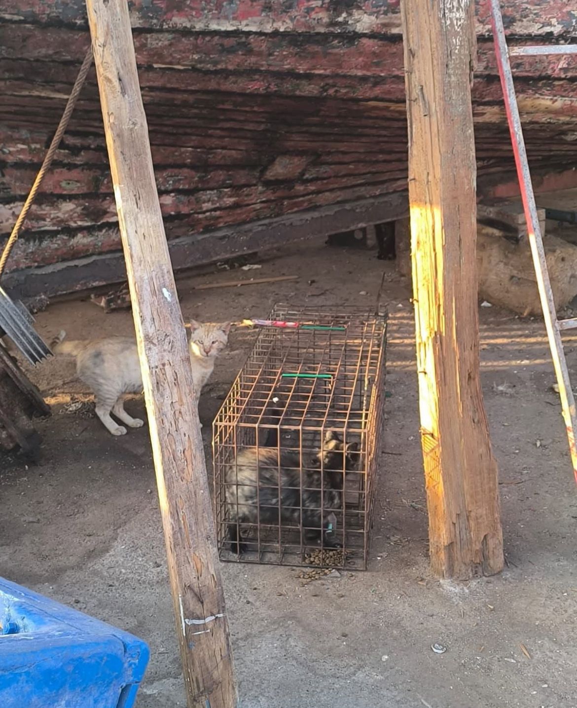 WhatsApp Image 2025 11 20 at 09.24.18