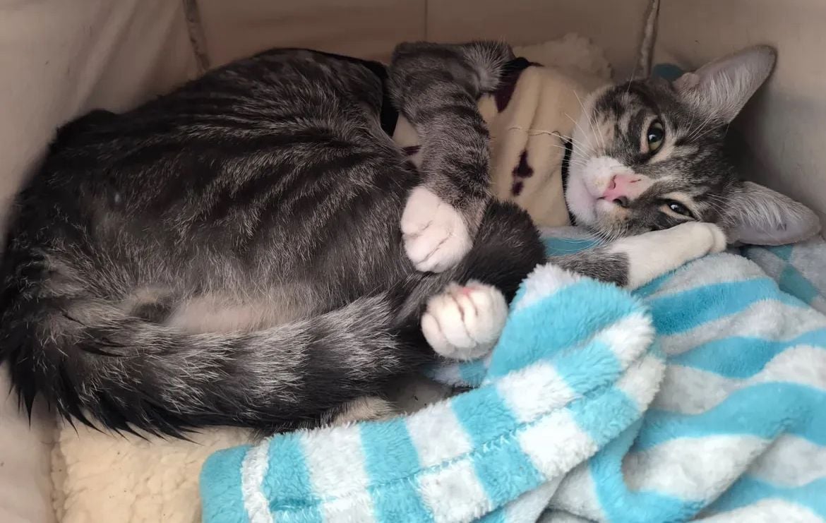 WhatsApp Image 2025 11 20 at 09.24.19 1