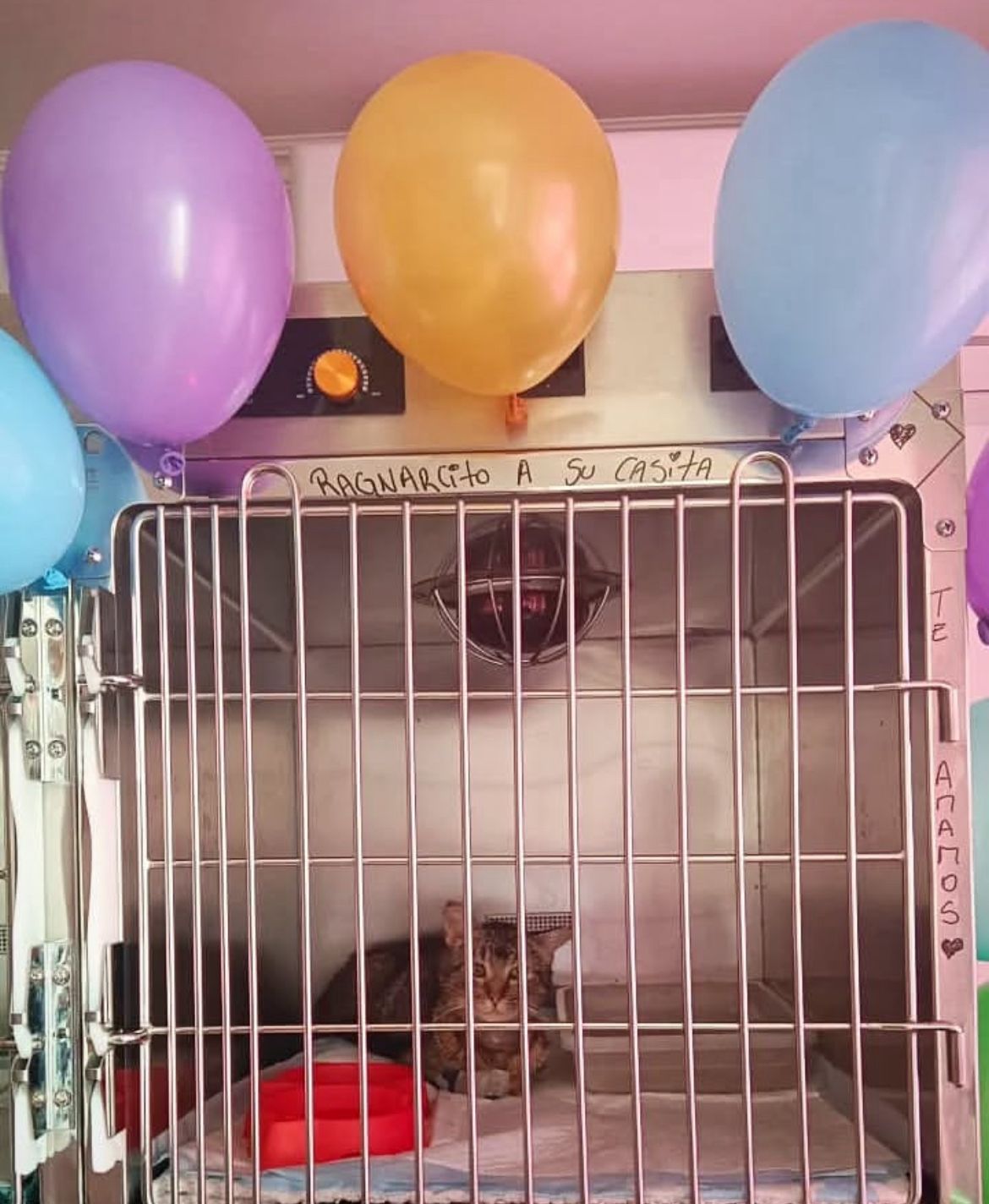 WhatsApp Image 2025 11 20 at 09.24.19 2