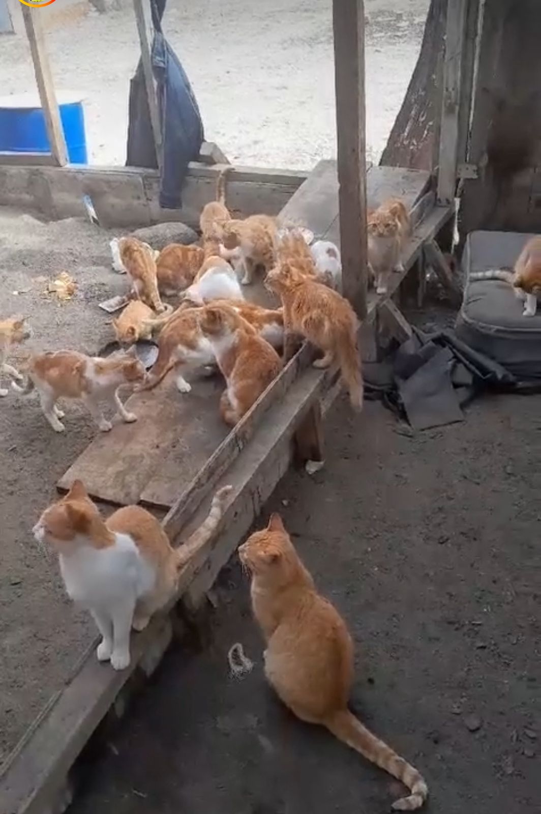 WhatsApp Image 2025 11 20 at 09.24.19 3