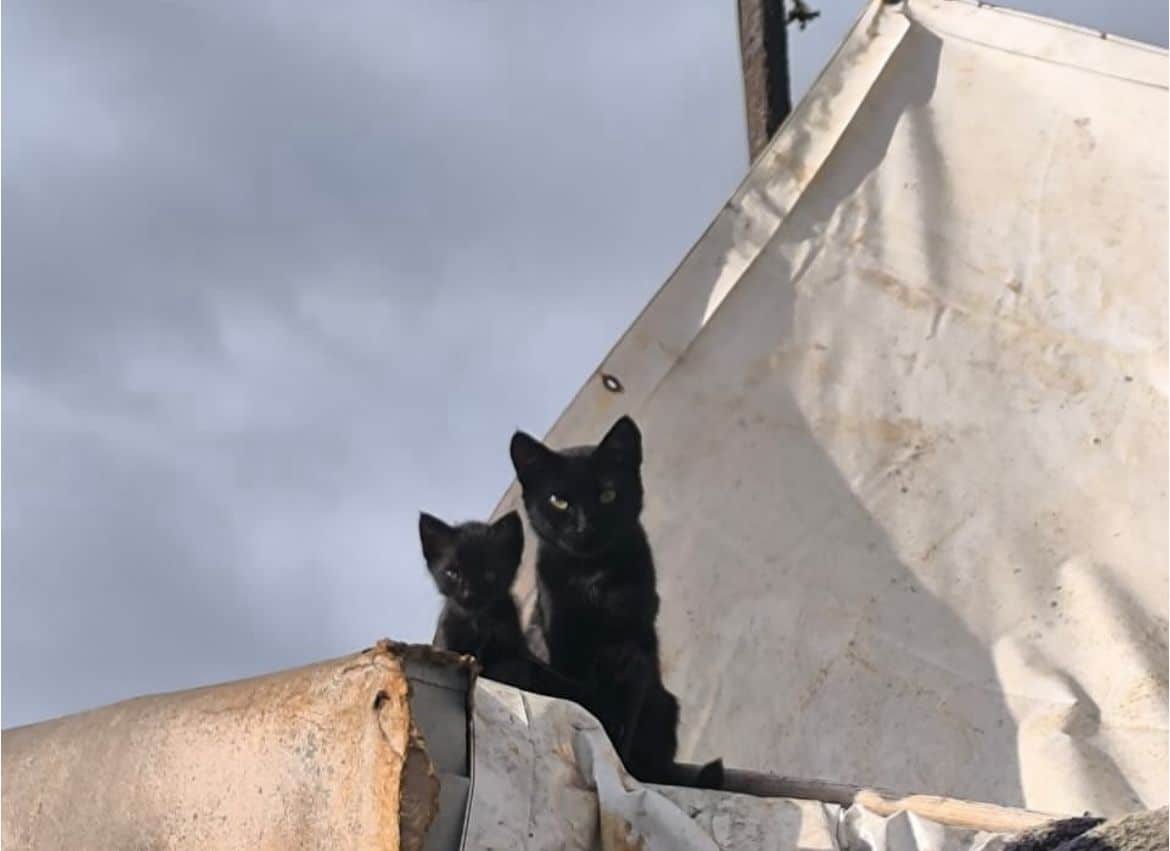 WhatsApp Image 2025 11 20 at 09.24.19 4