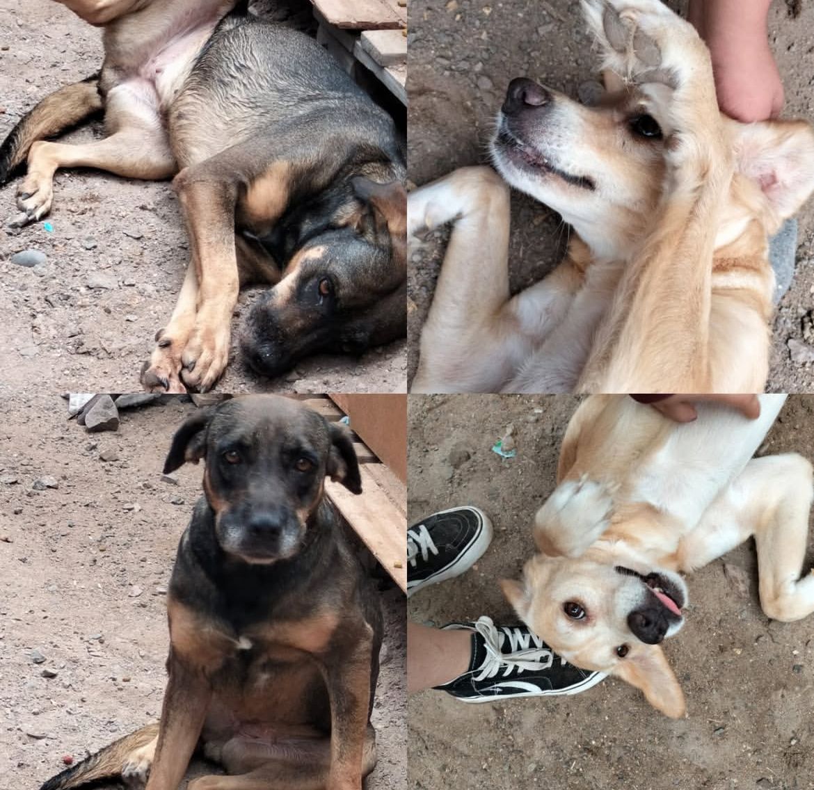 WhatsApp Image 2025 11 20 at 09.24.19