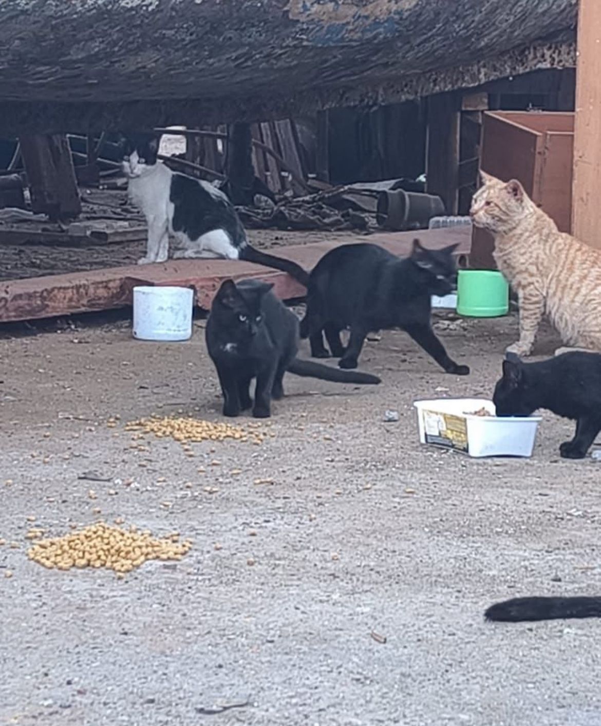 WhatsApp Image 2025 11 20 at 09.24.20 1