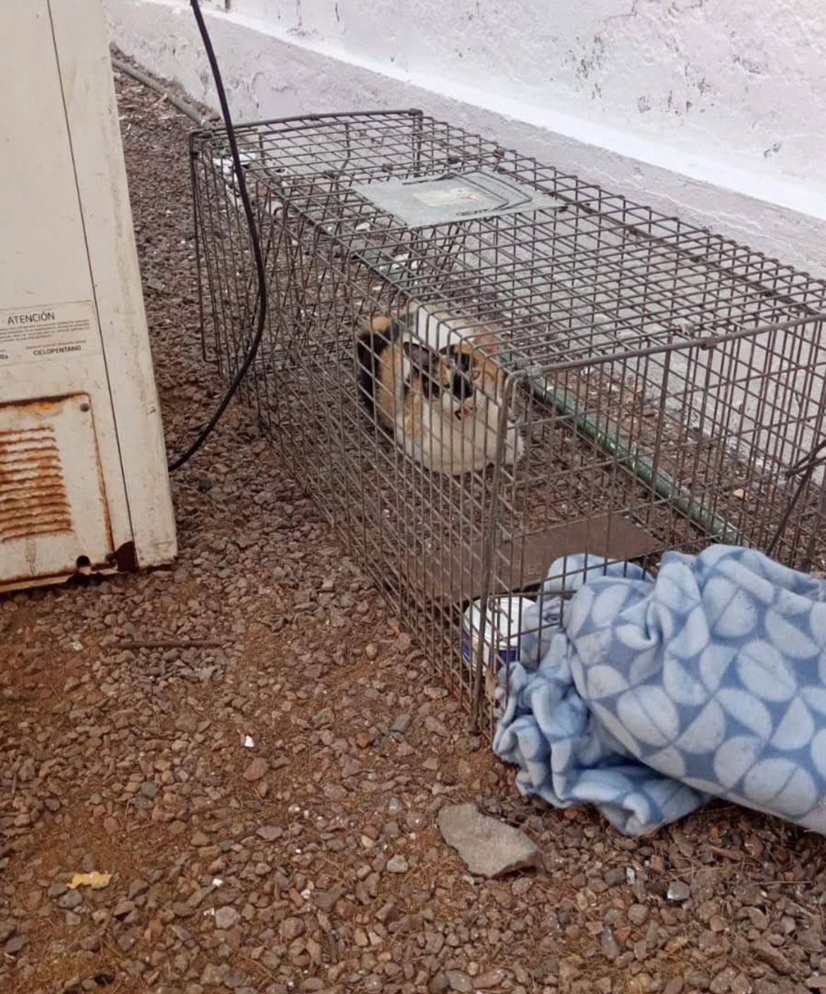 WhatsApp Image 2025 11 20 at 09.24.20 2