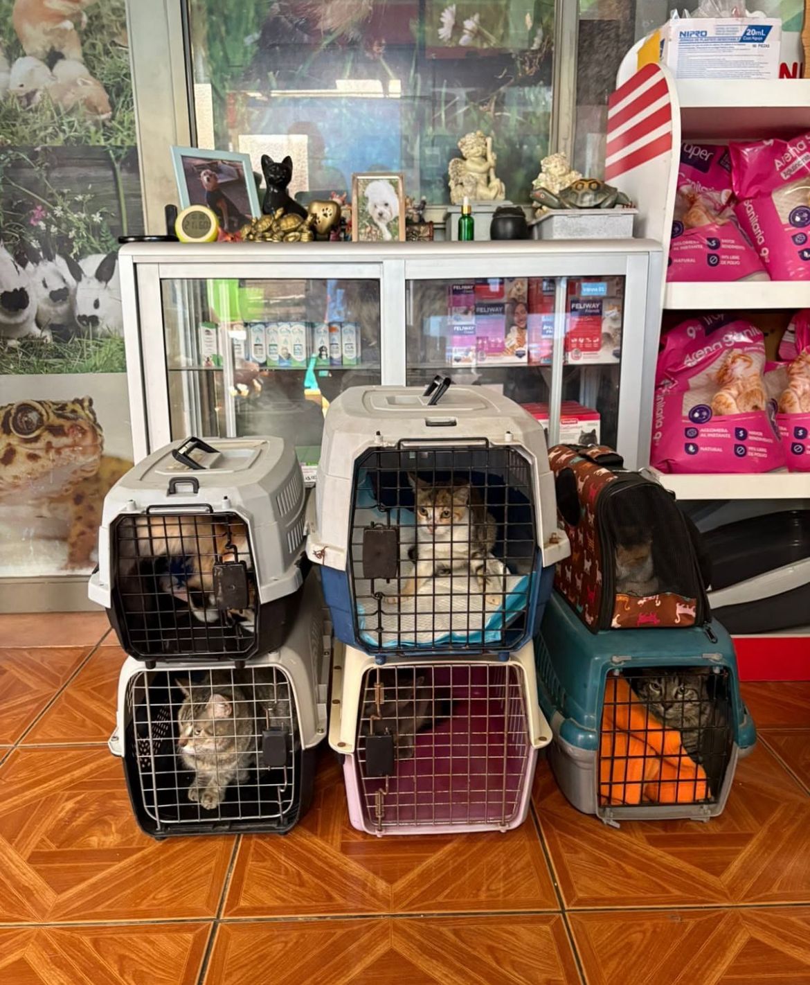 WhatsApp Image 2025 11 20 at 09.24.20