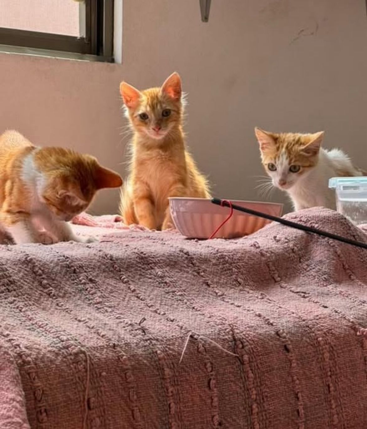 WhatsApp Image 2025 11 20 at 09.24.21