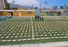 WhatsApp Image 2025 11 24 at 16.22.33