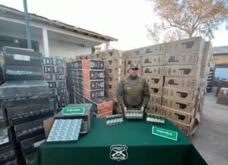 WhatsApp Image 2025 11 26 at 15.45.31