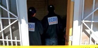 WhatsApp Image 2025 11 27 at 19.13.56