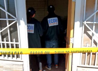 WhatsApp Image 2025 11 27 at 19.13.56